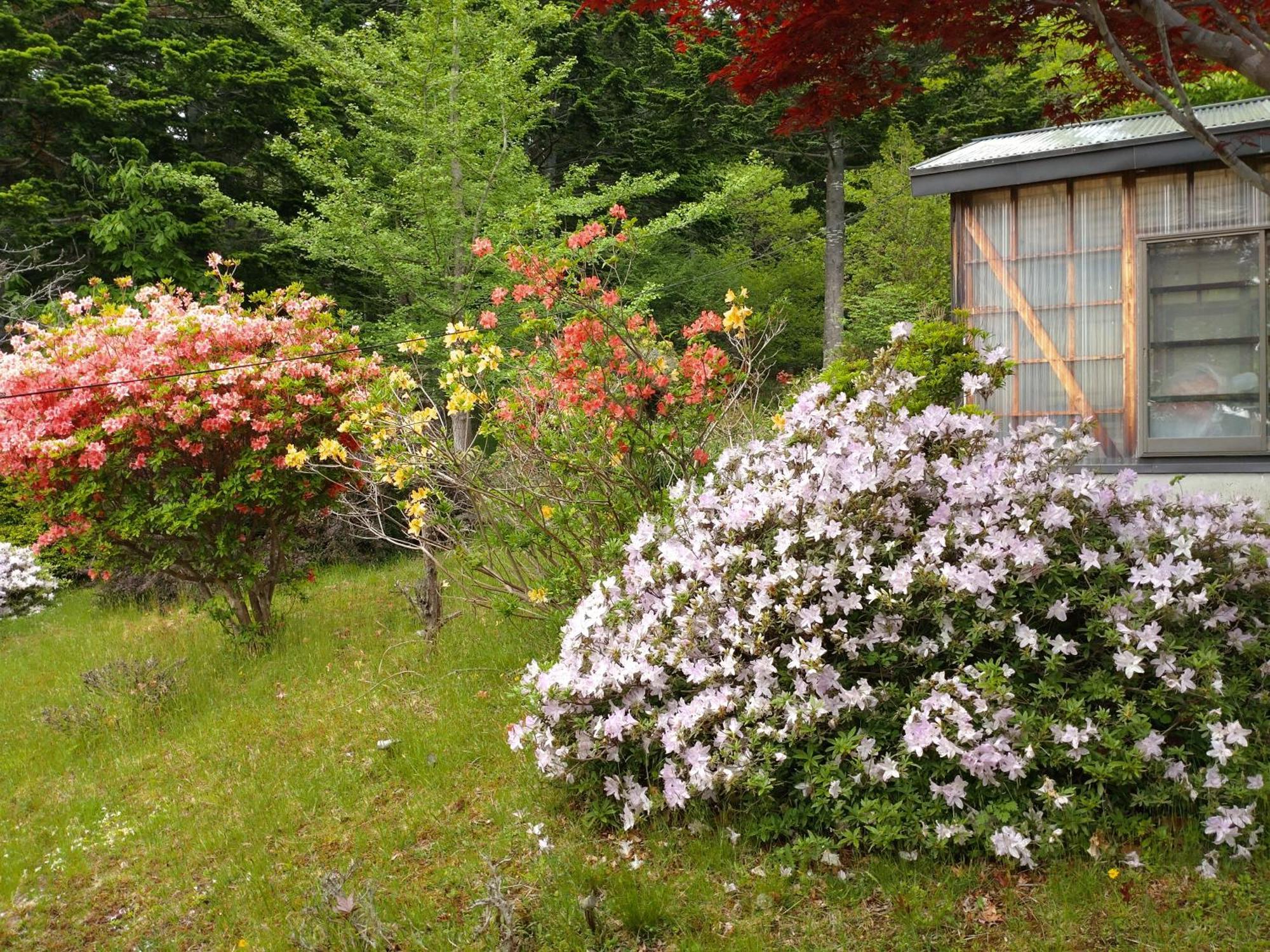 Noboribetsu No Mori Villa Dış mekan fotoğraf